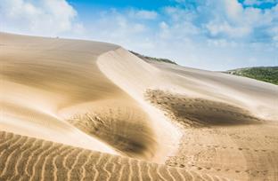 Dune Discoveries