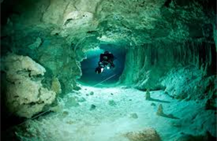 Underwater Wonders